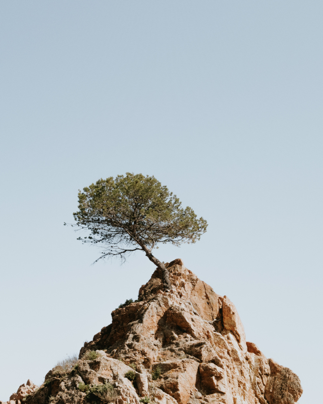 5 Signs Your Toxic Load Is High (And What Your Body Is Asking For)